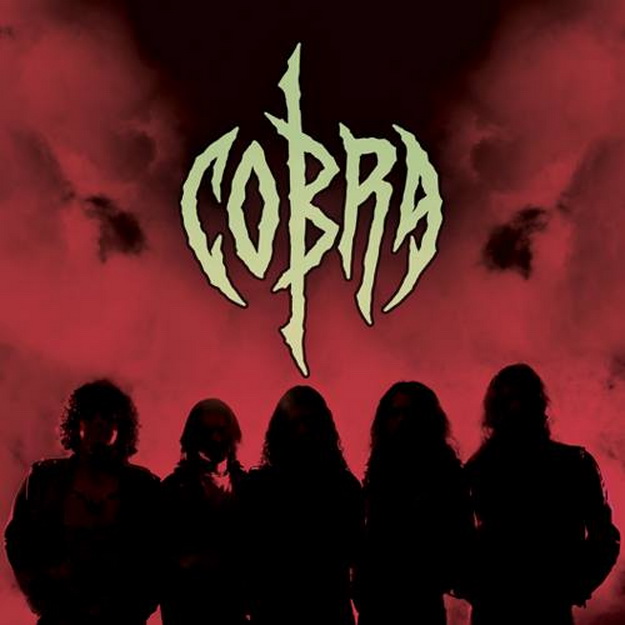 Cobra band pic