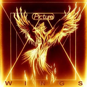 Picture Wings cover