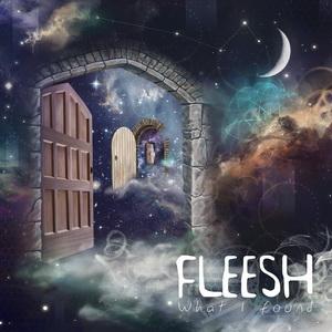 Fleesh What I Found cover
