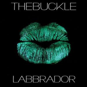 TheBuckle Labbrador cover