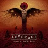 Leverage Determinus cover