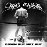 Big Guns Down but Not Out cover