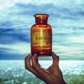 Blackfield V cover