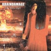 Braindamage The Downfall cover