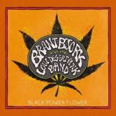 Brant Bjork & The Low Desert Punk Band Black Power Flower cover