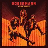 Dobermann Pure Breed cover