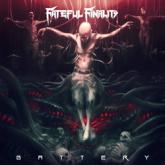 Fateful Finality Battery cover