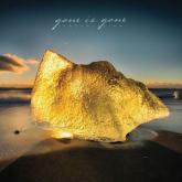 Gone Is Gone Echolocation cover