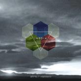 Inedia Aritmia//Wasteland cover