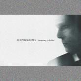 Leapfrogtown Dreaming in Public cover