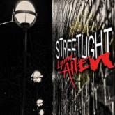 Lynn Allen Streetlight cover