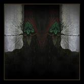 Palefeather cover