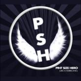 Pint Size Hero Like a Hurricane cover