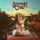 Scorpion Child Acid Roulette cover