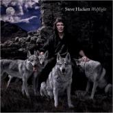 Steve Hackett Wolflight cover