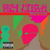 The Flaming Lips Oczy Mlody cover