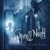 Waverly Lies North A Soul in the Void cover