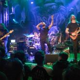 Allegaeon pic