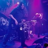 Allegaeon pic