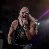 Dee Snider pic