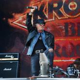 Krokus pic