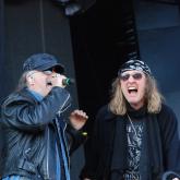 Krokus pic