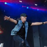 Krokus pic