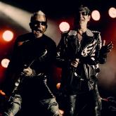 Scorpions pic