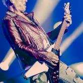Scorpions pic