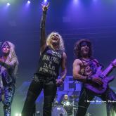 Steel Panther pic