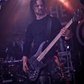 Wolfheart pic