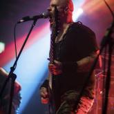 Wolfheart pic