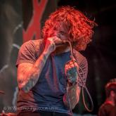 Devil Wears Prada live pic