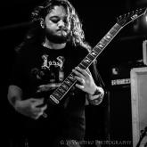 Pallbearer pic