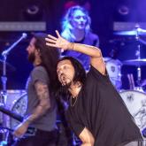 Pop Evil pic