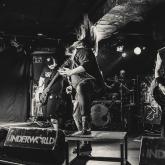 Uproar pic