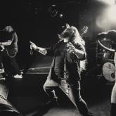 Uproar pic