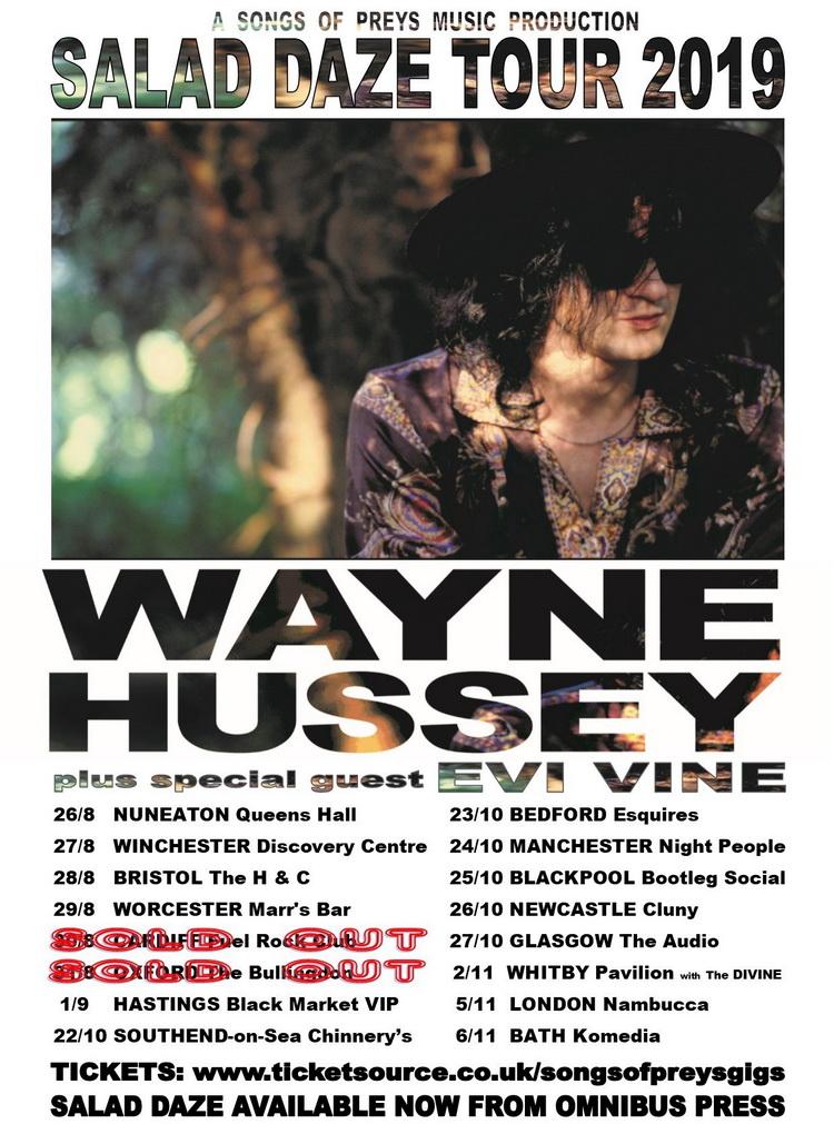 Wayne Hussey and Evi Vine Tour2019 poster
