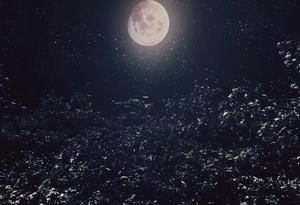 Avantasia video pic