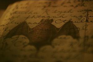BATS video pic