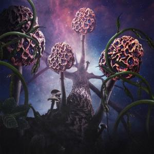 Blut Aus Nord Hallucinogen cover