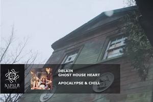 Delain video pic