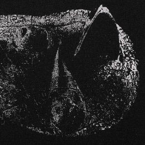 Demon Head Viscera cover
