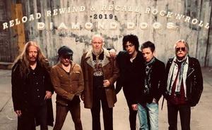 Diamond Dogs band pic