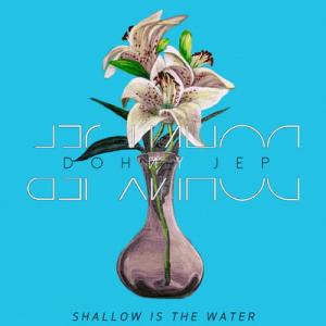 Dohny Jep Shallow is the Water EP cover