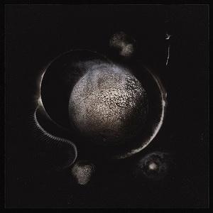Enthroned Cold Black Suns cover