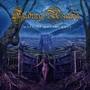 Fading Azalea Maze of Melancholy cover