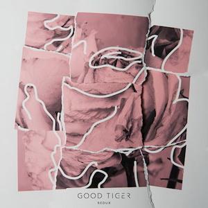 Good Tiger Redux EP cover