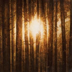 In Mourning Echoes cover