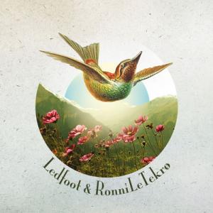 Ledfoot & Ronni Le Tekrø A Death Divine cover